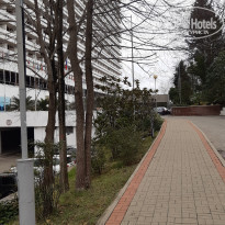 фото из отзыва ID 2167818