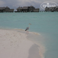 фото из отзыва ID 2167888