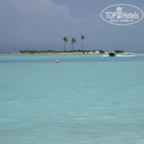 фото из отзыва ID 2167888