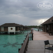 фото из отзыва ID 2167888