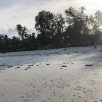 фото из отзыва ID 2167913