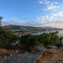 фото из отзыва ID 2167927