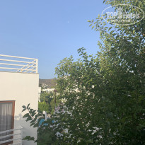 фото из отзыва ID 2167927