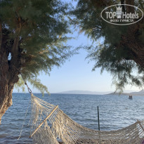 фото из отзыва ID 2167927