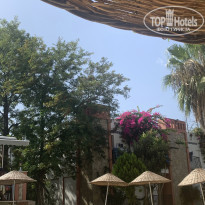 фото из отзыва ID 2167927