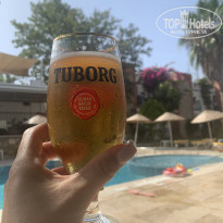 фото из отзыва ID 2167927