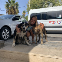 фото из отзыва ID 2167927