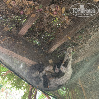 фото из отзыва ID 2167927