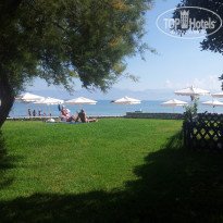 фото из отзыва ID 2168134