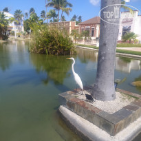 фото из отзыва ID 2168136