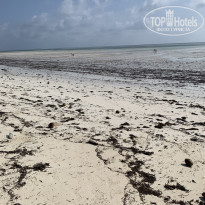 фото из отзыва ID 2168161