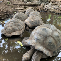 фото из отзыва ID 2168161