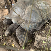 фото из отзыва ID 2168161