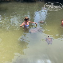 фото из отзыва ID 2168161