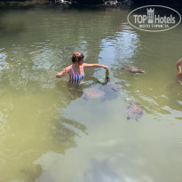 фото из отзыва ID 2168161