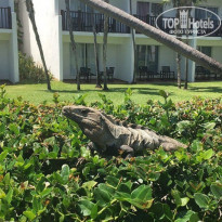 фото из отзыва ID 2168172