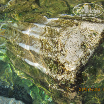 фото из отзыва ID 2168181