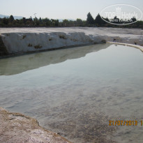 фото из отзыва ID 2168181