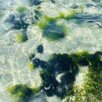 фото из отзыва ID 2168431