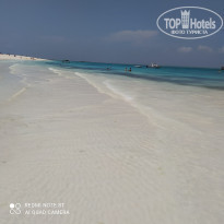 фото из отзыва ID 2168448