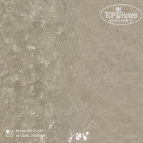 фото из отзыва ID 2168448