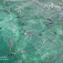 фото из отзыва ID 2168448