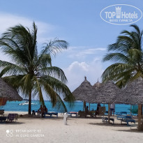 фото из отзыва ID 2168448