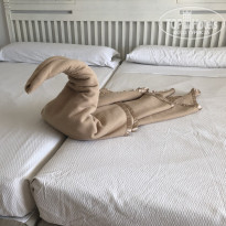 фото из отзыва ID 2168549