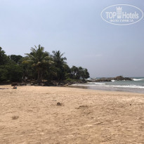 фото из отзыва ID 2168623