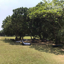 фото из отзыва ID 2168623