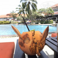 фото из отзыва ID 2168623