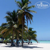 фото из отзыва ID 2168658