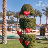 фото из отзыва ID 2168674