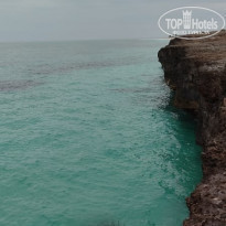 фото из отзыва ID 2168817