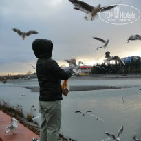 фото из отзыва ID 2169063