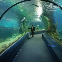 фото из отзыва ID 2169063