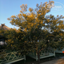 фото из отзыва ID 2169063