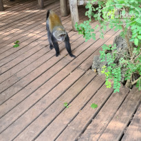 фото из отзыва ID 2168995