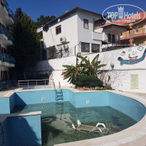 фото из отзыва ID 2169098