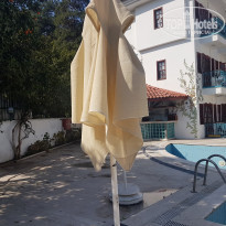 фото из отзыва ID 2169098