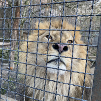 фото из отзыва ID 2169119