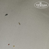 фото из отзыва ID 2169117