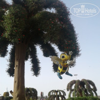 фото из отзыва ID 2169151