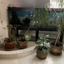 фото из отзыва ID 2169171