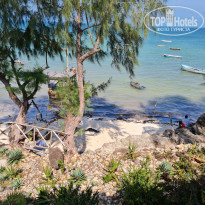 фото из отзыва ID 2169182