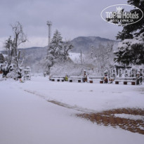 фото из отзыва ID 2168667