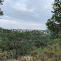 фото из отзыва ID 2169291