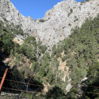 фото из отзыва ID 2169291