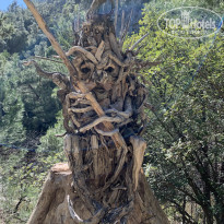 фото из отзыва ID 2169291