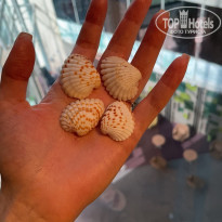 фото из отзыва ID 2169315